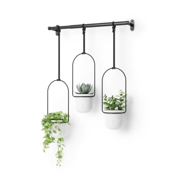 Umbra Triflora set of three white hanging planters with plants on a black wall-mounted rod