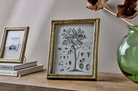 Pair of Pambani frames with botanical prints on a console table