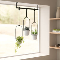 Umbra Triflora planters hanging in a bright window with trailing greenery